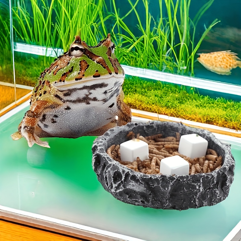 6 Peças de Pedras de Calcário  - Calcium Powder Reptile avaliação e preço