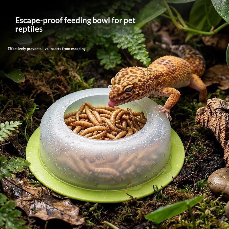 Prato de alimentação para répt - Water Dish Reptile avaliação e preço