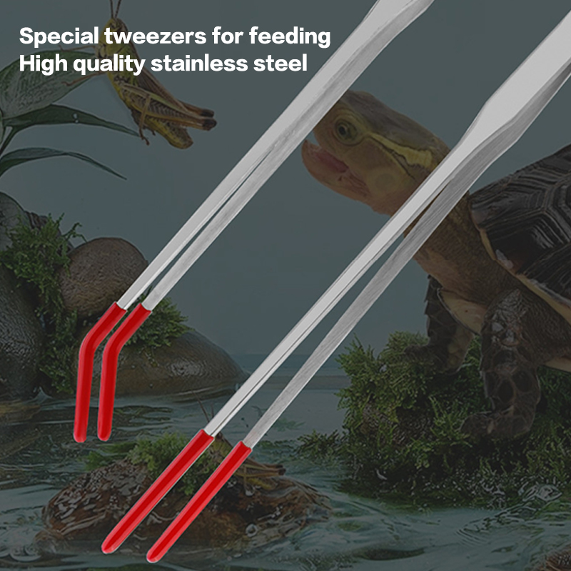 Pinça de alimentação para répt - Feeding Tong Stainless avaliação e preço