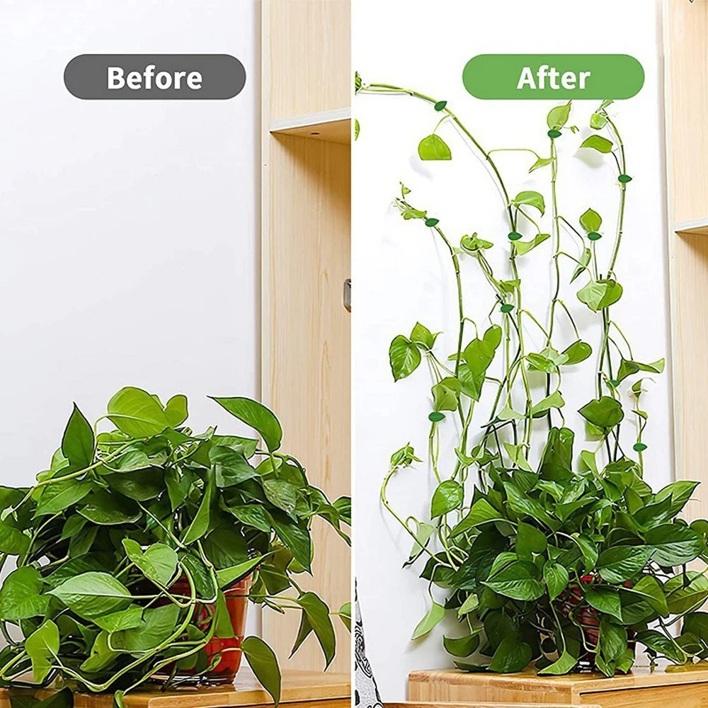10/30/50 Peças de Clipes de Fi - Vine Climbing Plastic avaliação e preço